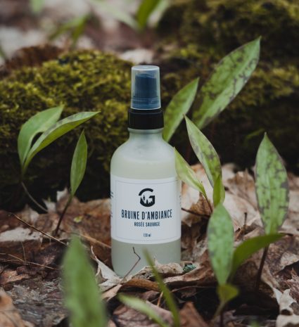 Bruine d’ambiance Rosée Sauvage parmi la mousse et les feuilles