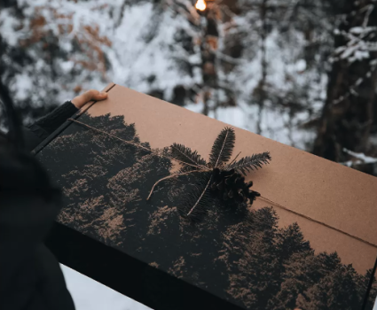 Boîte cadeau avec illustration de forêt et décoration naturelle