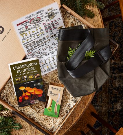 Coffret de cueillette MYCO avec sac et guides dans une boîte en bois