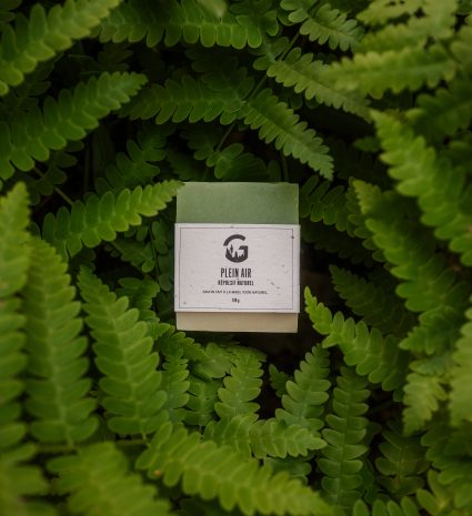 Savon Plein air citronnelle et eucalyptus parmi des frondes de fougères