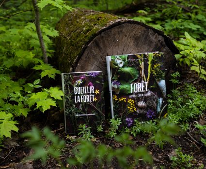 Livres sur la cueillette et la forêt sur un tronc d'arbre