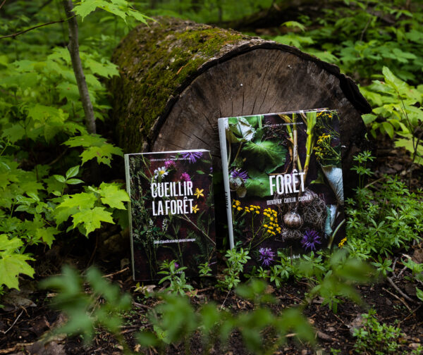 Livres sur la cueillette et la forêt sur un tronc d'arbre