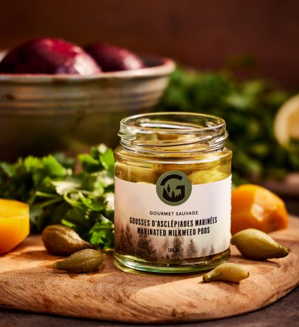 Gousses d’asclépiades marinées dans un pot sur une planche de bois