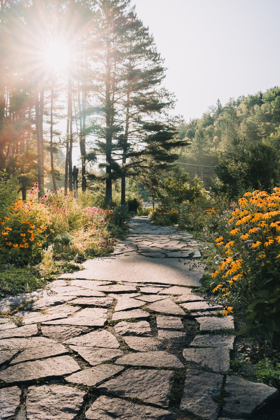 chemin en pierres dans un jardin fleuri
