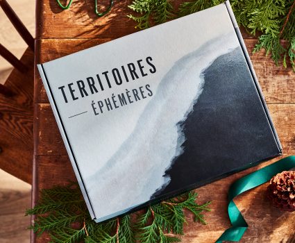 Coffret Territoires éphémères sur une table avec branches de conifères