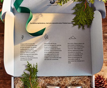 Boîte ouverte avec pots en verre et branches de conifères