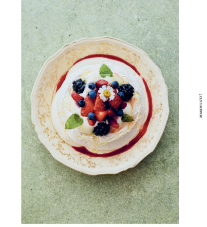 Panna cotta aux petits fruits sur une assiette avec coulis rouge