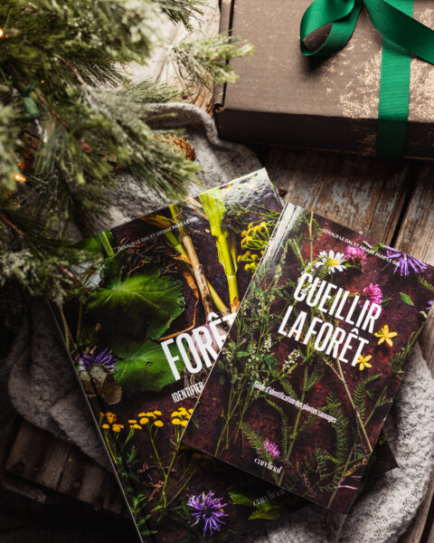 Livres CUEILLIR LA FORÊT près d’une boîte cadeau et d’un sapin