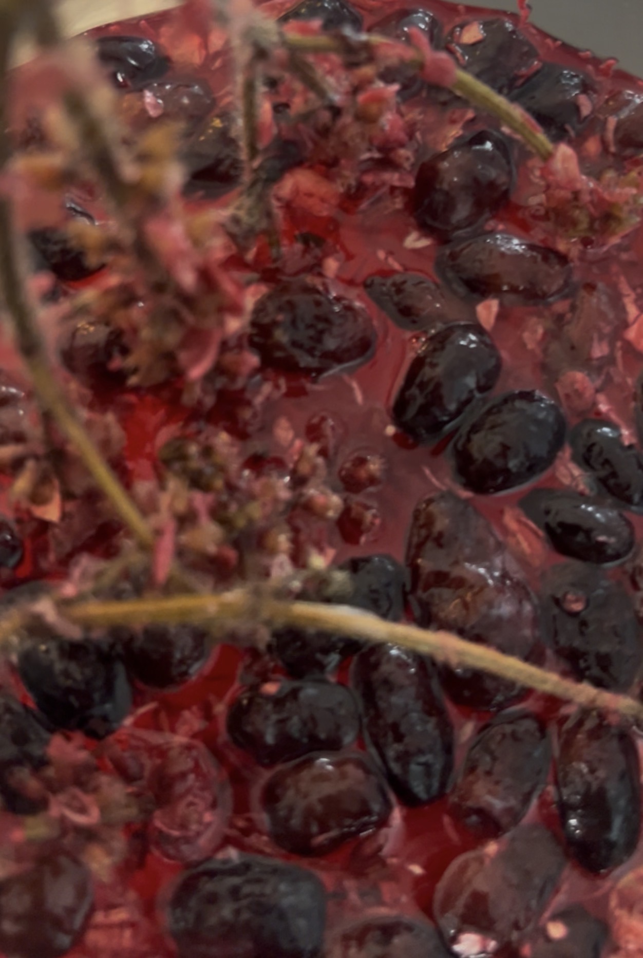 Image n° 1 de Josée Kenny